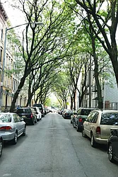 Rented by Coda Real Estate NYC