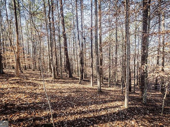 3rd image of 1001 Overlook Ter