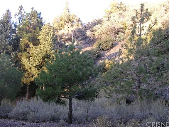 4th image of 1608 Dogwood Way