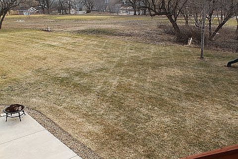 back yard from the deck
