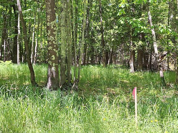4th image of xxx South Shore Rd Lot 4, Block 2 South Shore Woodlands