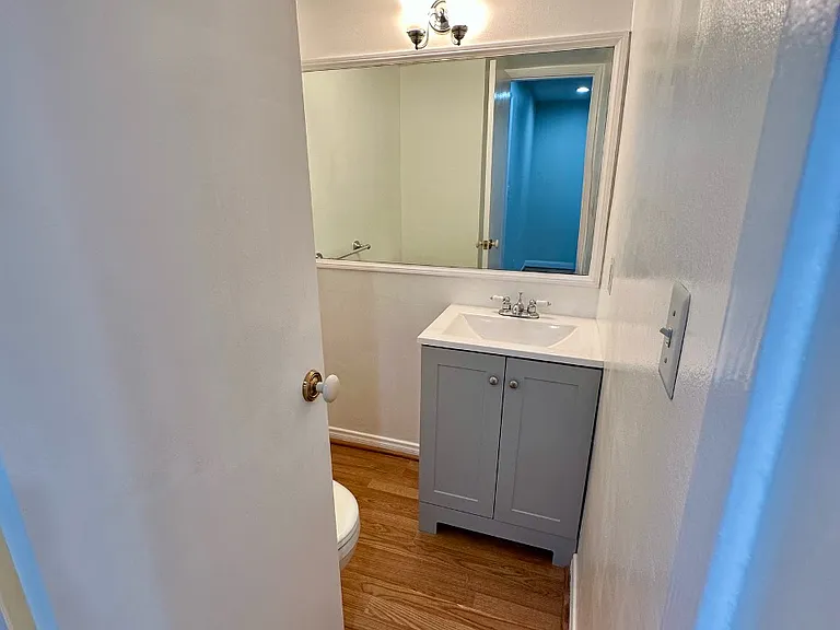 Downstairs powder room