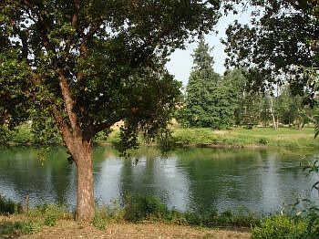 View of River from House
