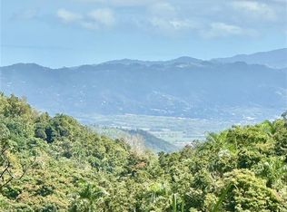 Road 785 Kmhm #4, Aguas Buenas, PR 00703