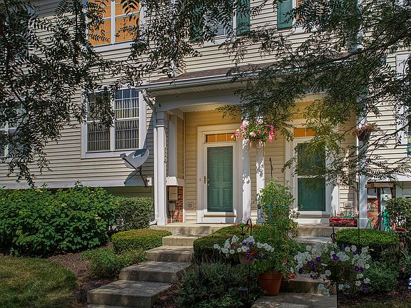 3rd image of 334 Terra Springs Cir