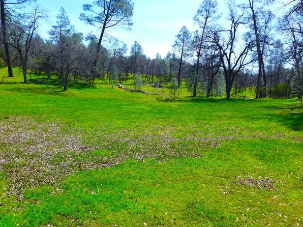 LOT 16 Holiday Way, Bella Vista, CA 96008