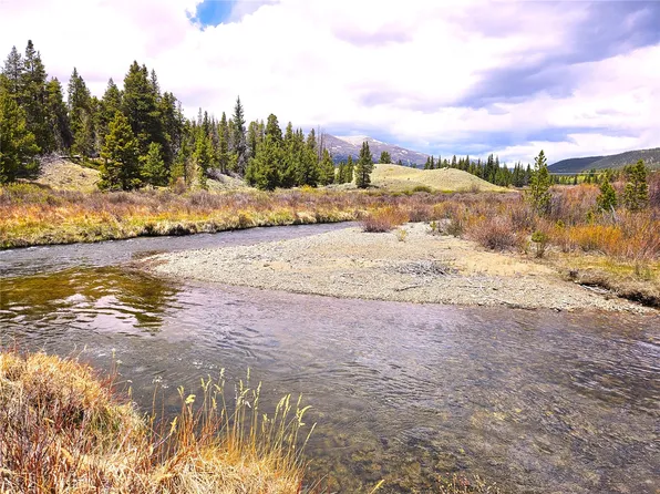 700 Looney Lane, Alma, CO 80420