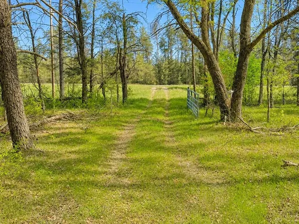 N Temple Dr, Marion, MI 49665