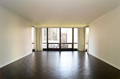 3rd image of 100 E Bellevue Pl APT 10C