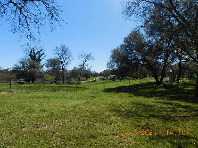 7077 Pine Gate Way — Photo 8