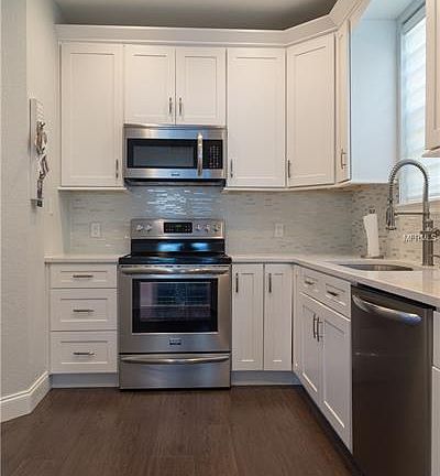 4th image of 4009 Carrollwood Palm Ct