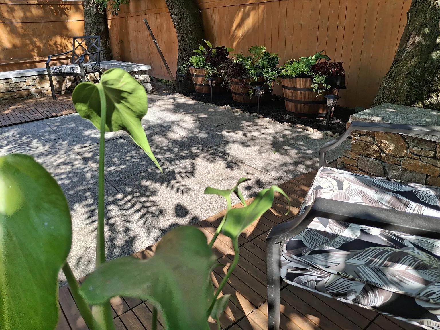 2 bed, 950 sqft, $1,550 — Photo 3