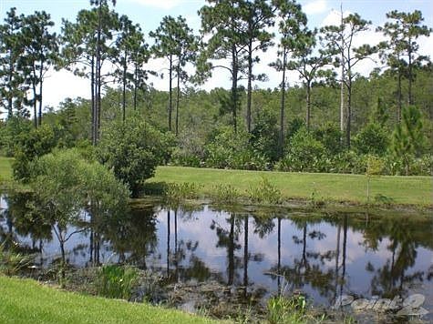 Pond and wooded conservation