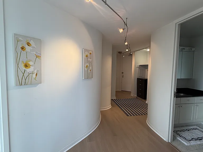 405 N Wabash Ave #4704 — Photo 45