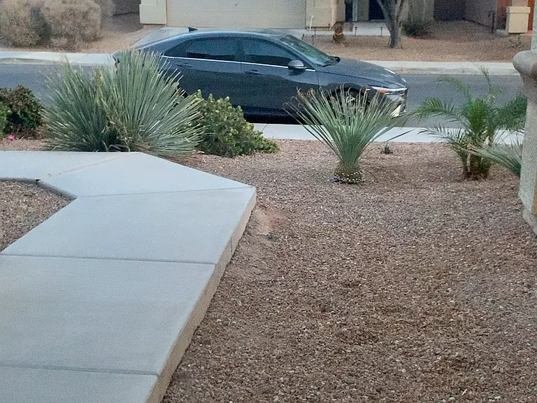 landscaping
