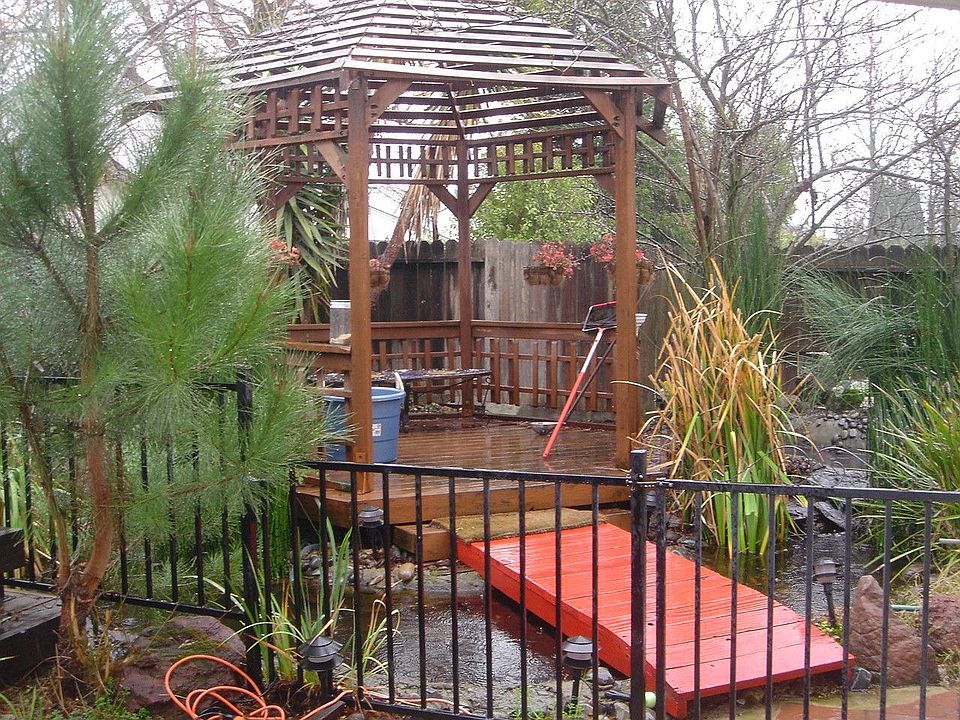Backyard pond