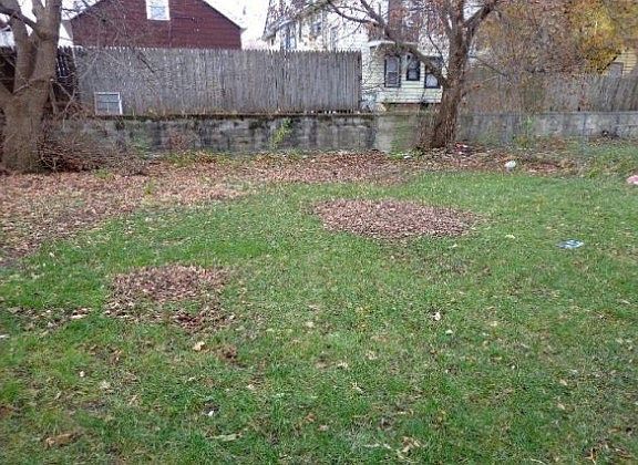 3rd image of 1321 N 43rd St
