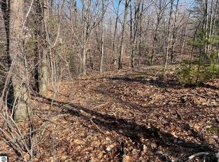 0 S Sugar Loaf Mountain Rd LOT 36, Cedar, MI 49621