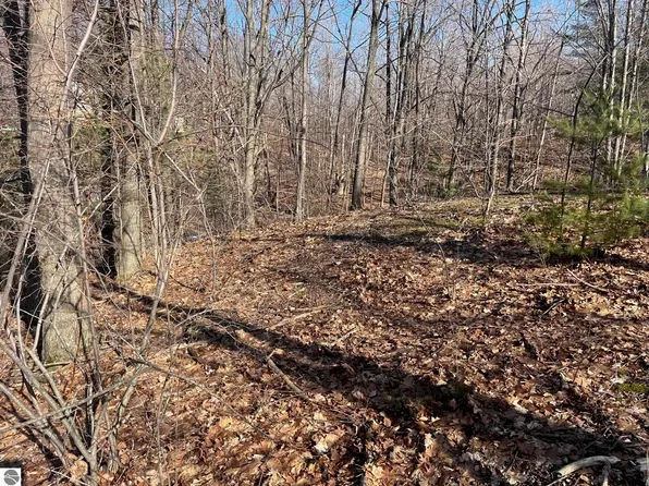 0 S Sugar Loaf Mountain Rd Lot 36, Cedar, MI 49621