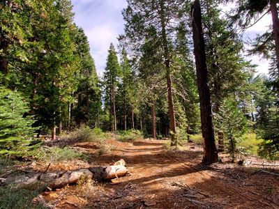 Buckthorne Ln, Nevada City, CA, 95959