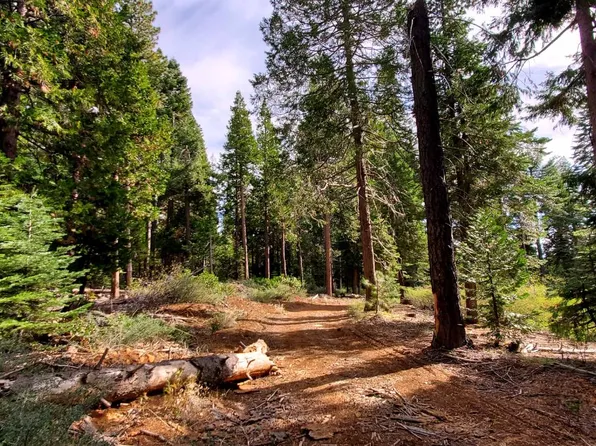 Buckthorne Ln, Nevada City, CA 95959