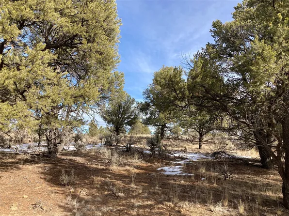 El Vado Lake Lot 227, Tierra Amarilla, NM 87575