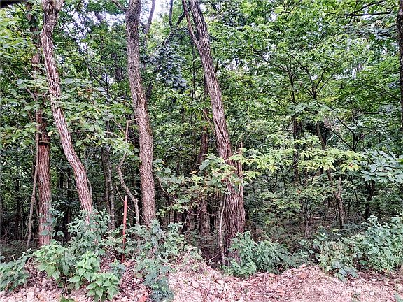4th image of County Road 517 #2