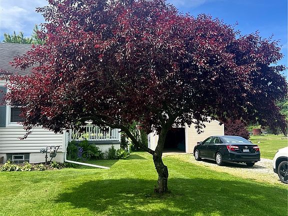 3rd image of 3250 Mayfair Rd