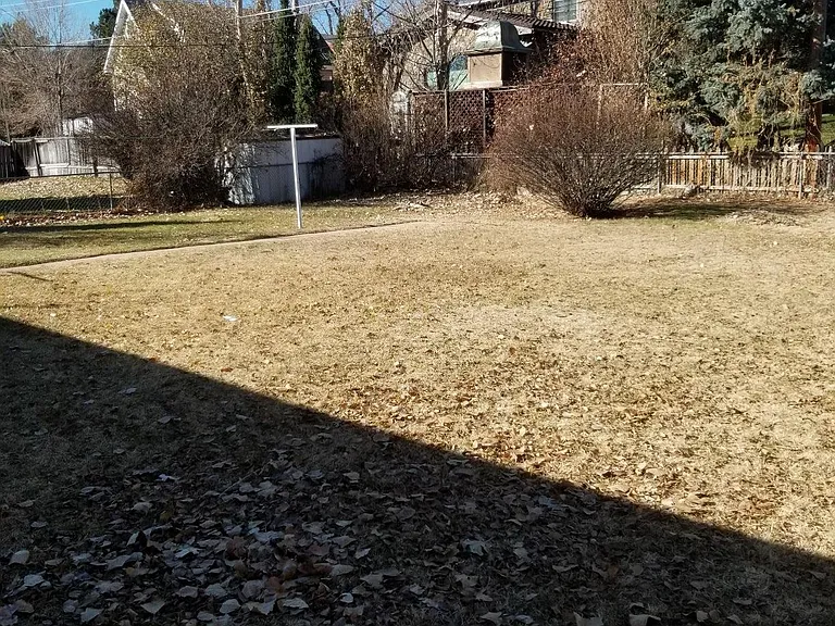 Yard