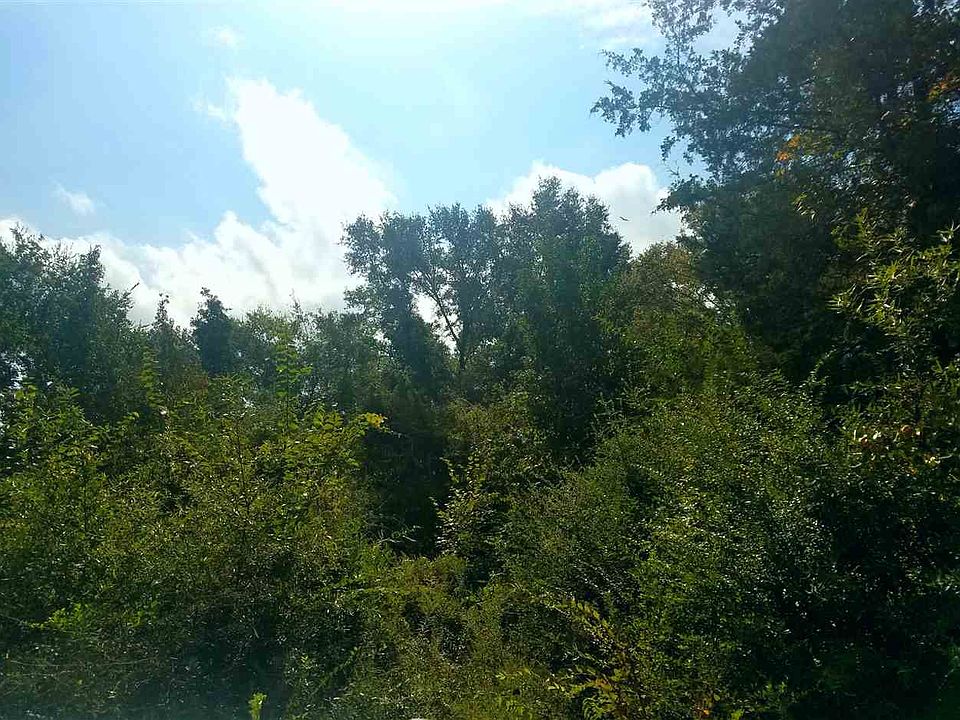 2nd image of 2309 State Highway 315