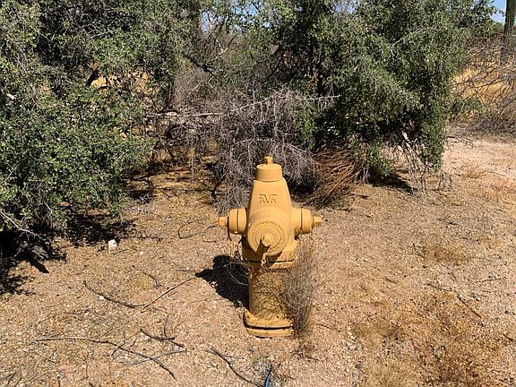 5th image of 7887 E Roy Rogers Dr