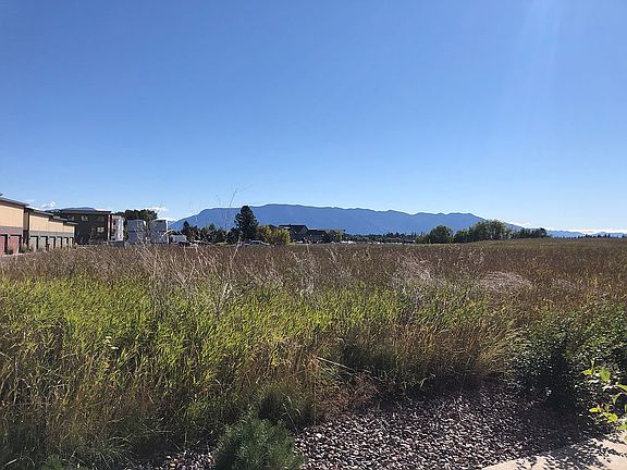 Summer views