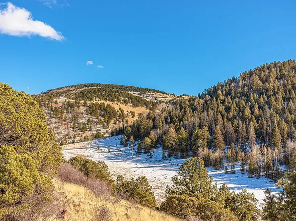 640 Monarch Dr, Cripple Creek, CO 80813