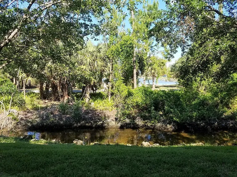 View from lanai