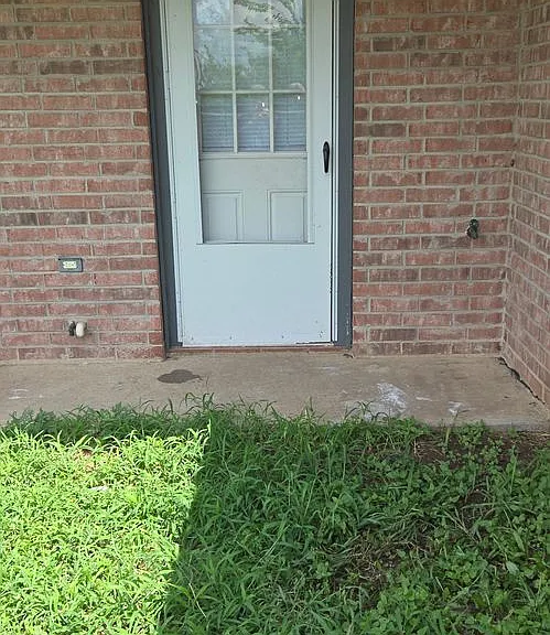 809 Leifester Cir — Photo 18