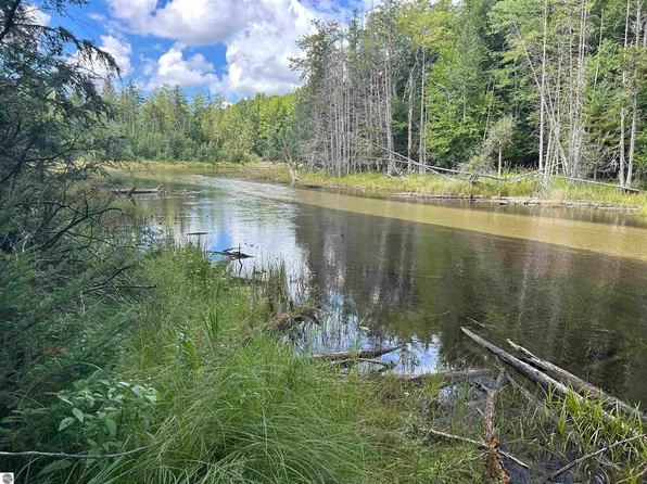 Doerr Rd, Mancelona, MI 49659