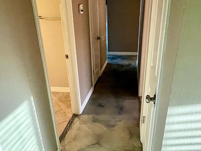 ample hallway storage closet space