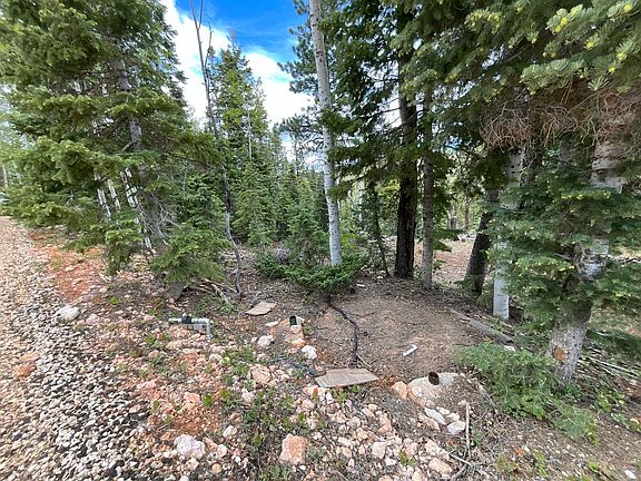 4th image of 175 S Lupin Ln