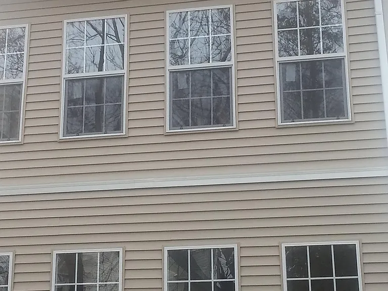 back of the house, enclosed porches