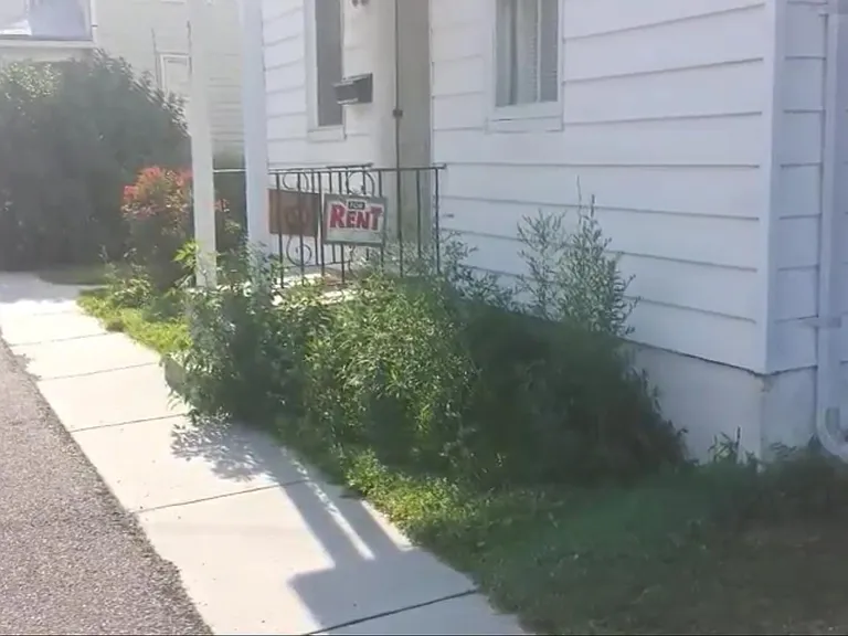 5939 Larue St — Photo 15