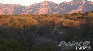 Catalina Mountain Views!