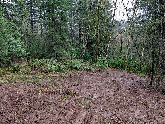 2nd image of 0 NE Berry Rd