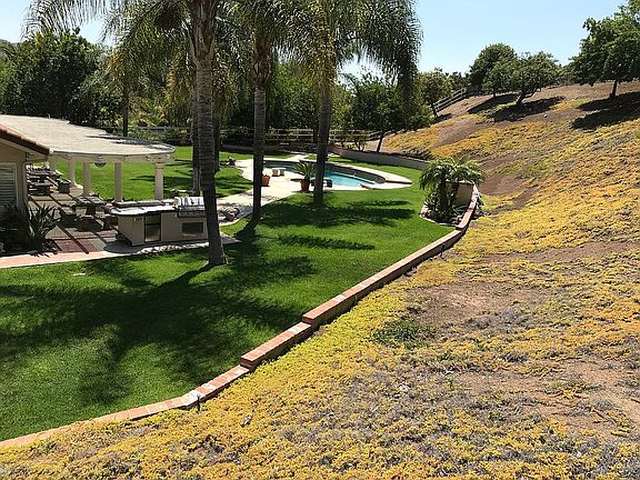 Mid Backyard