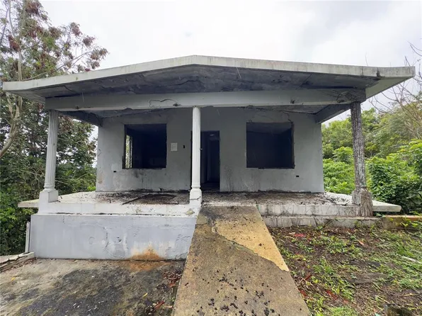 Carr 619 Km 3.0 Int Cuchillas Ward, Morovis, PR 00687