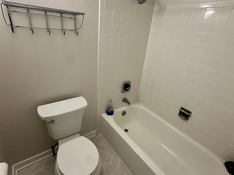 540 N Lake Shore Dr #518 — Photo 5