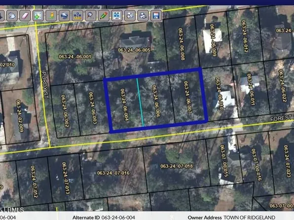 Forest Ave, Ridgeland, SC 29936