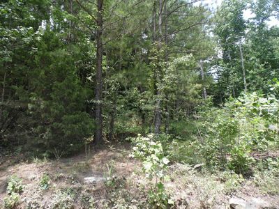 0 County Road 1218, Vinemont, AL, 35179