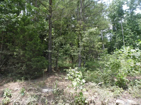 0 County Road 1218, Vinemont, AL 35179