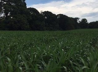 0 Highway 51, Carnesville, GA 30521