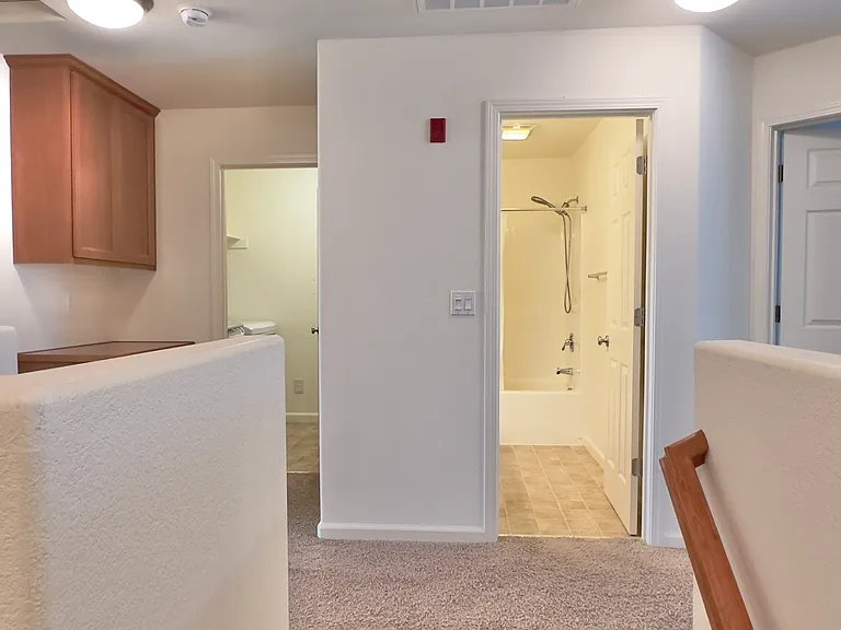 209 Blossom Rock Ln — Photo 12